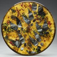geotrack discs