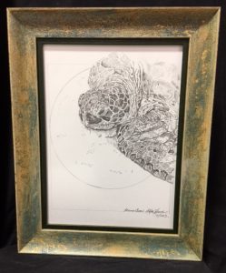 col-basking-green-sea-turtle-framed-original-14-5x11-5-may-2016