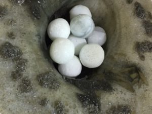 Detail Cast Glass Sea Turtle Eggs