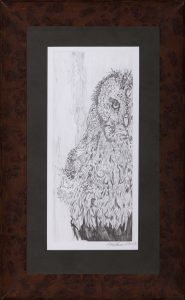 great-gray-owl
