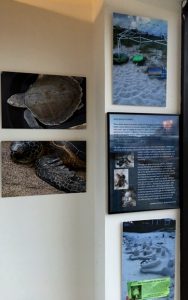 conservation-a-way-of-life-every-season-right-end-wall-11-20-1016