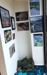 conservation-a-way-of-life-every-season-right-end-wall-and-corner-11-20-1016