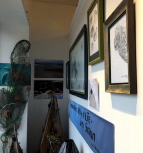 conservation-a-way-of-life-every-season-close-up-going-down-left-wall-with-bit-of-net-11-20-2016