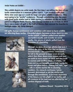 holter-museum-aquarium-gallery-artist-notes-for-exhibit-space-11-21-2016