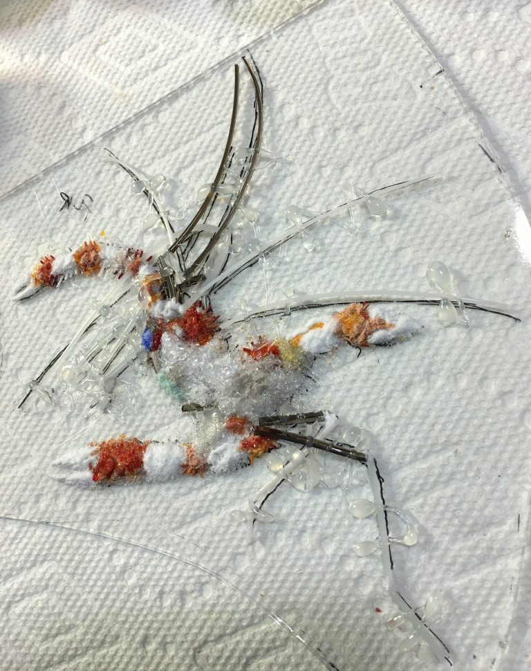 Progress on Projects in Studio