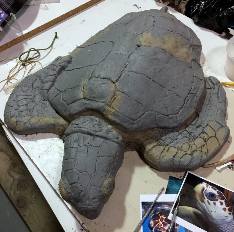 Mrs. Y.K.M. Clay Sea Turtle Work in Progress