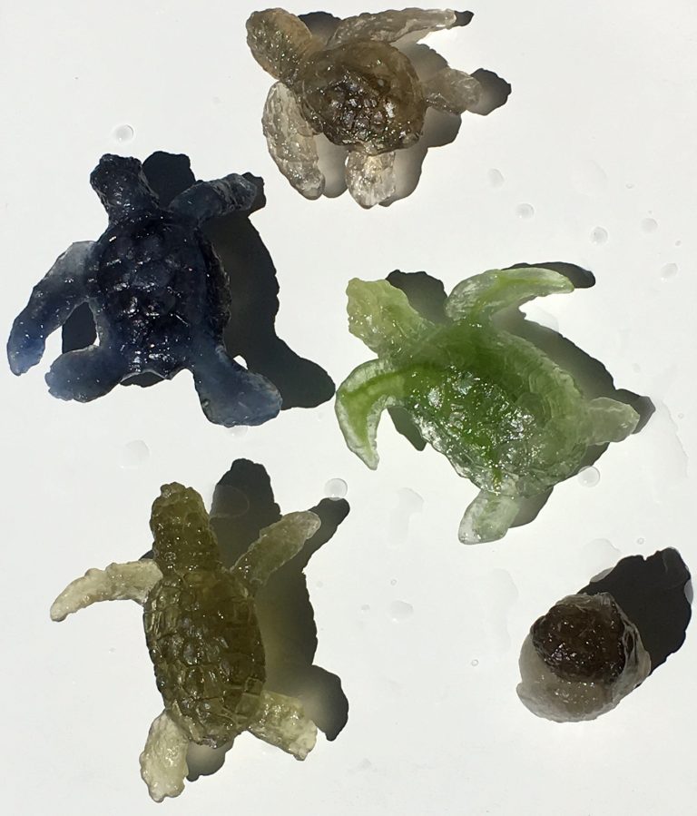 First Four Cycle of Life Cast Glass Hatchlings are BORN!