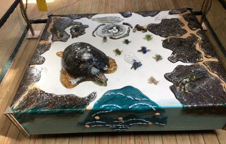 An Appeal from a Mountain Lady with an Ocean Soul