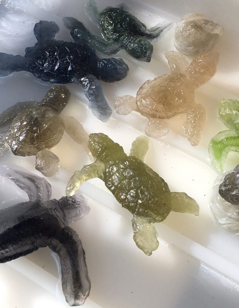 Cycle of Life – First time Offering – New interesting Perks on Hatchfund Campaign