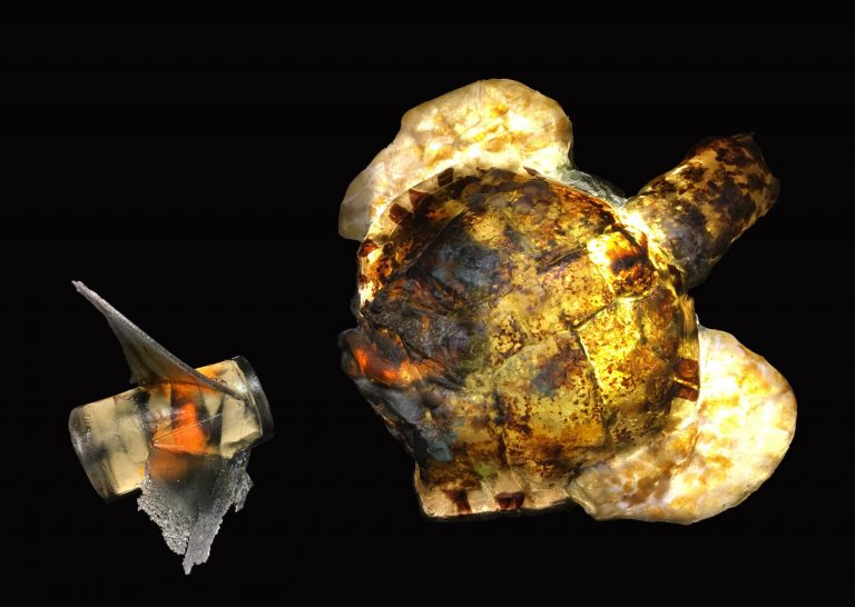 Artists for Conservation – Environmental Statement Award 2017