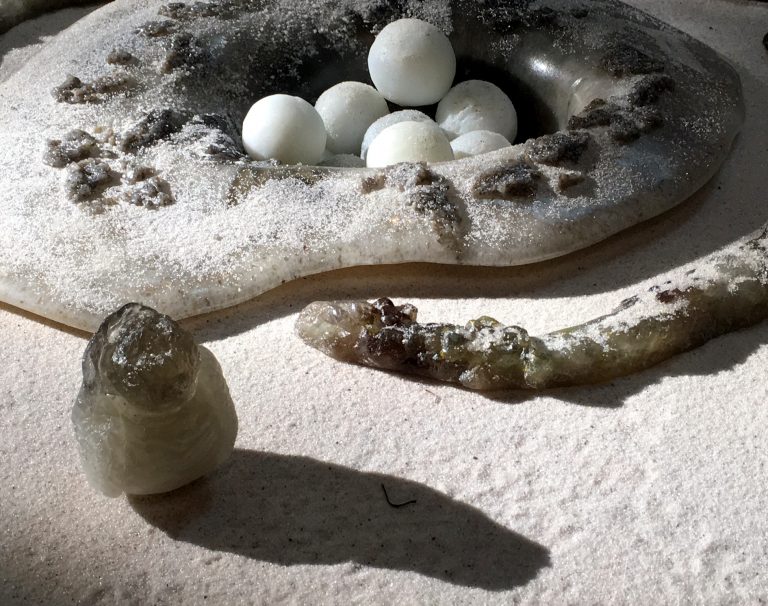 NATIONAL GEOGRAPHIC WOMEN OF IMPACT