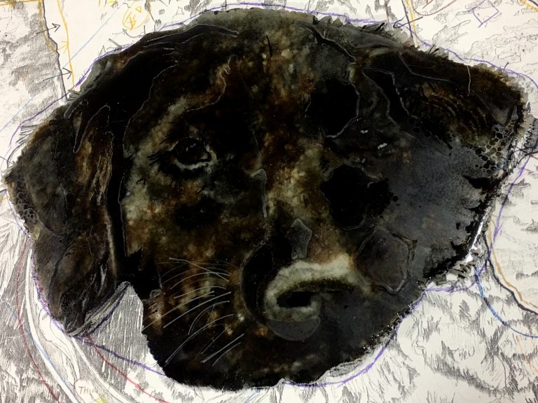 Start of Final Assembly Black Labrador Commission