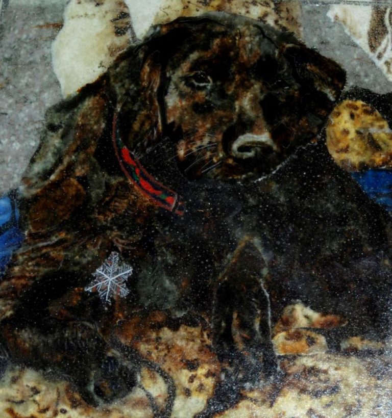 Open House Viewing Black Lab and Sale of 20 Years of Glass Studies