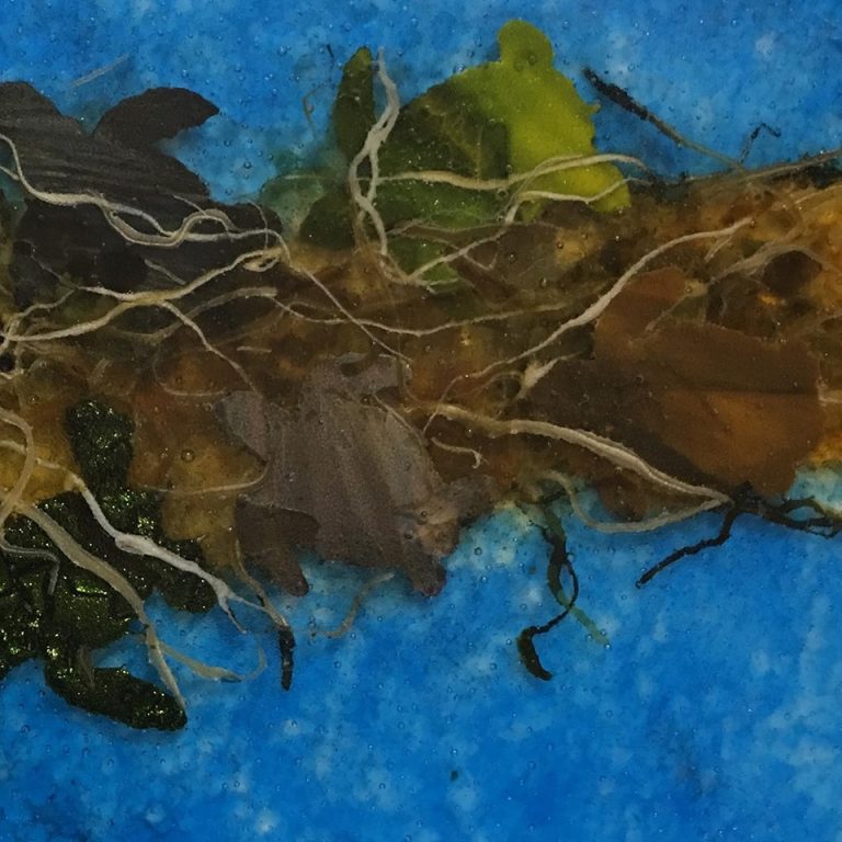 Amazing Grace. True Grit. Happy Turtle Dance