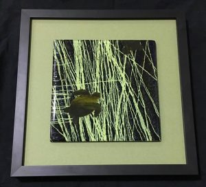 hawksbill artist study