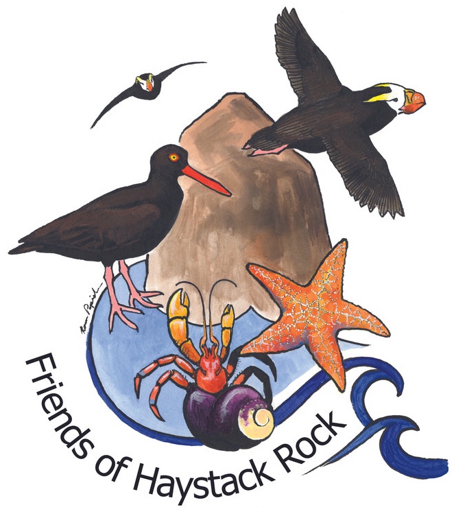 friends-of-haystack friends of haystack rock